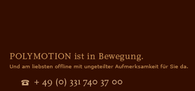 POLYMOTION ist Bewegung